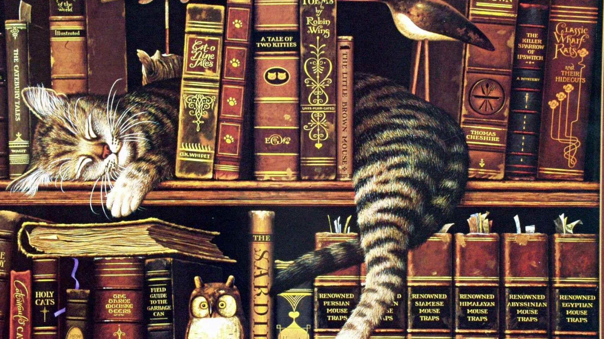 Drawing of a striped cat sleeping around books on a bookshelf, book titles are cat-themed twists on classics