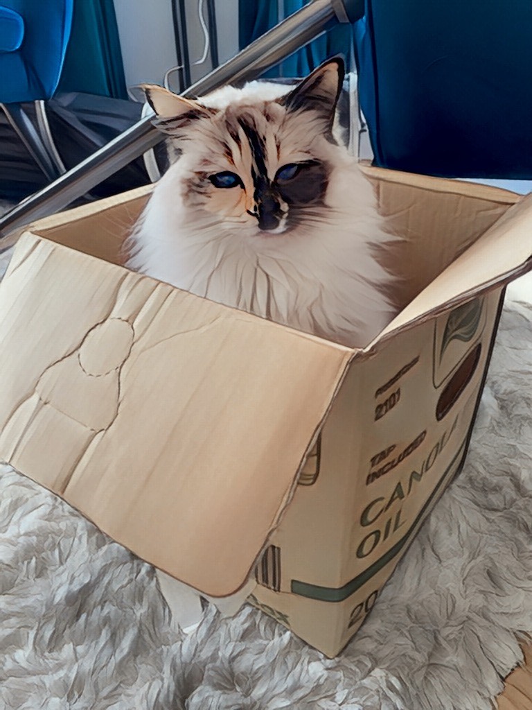 Fluffy ragdoll cat sitting prettily in an open cube-shaped cardboard box, flaps facing outwards; brushstrokes AI filter